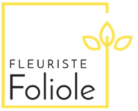 Foliole