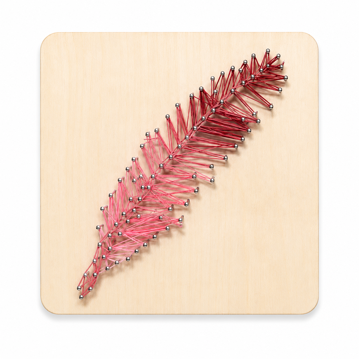 Plume sur bois