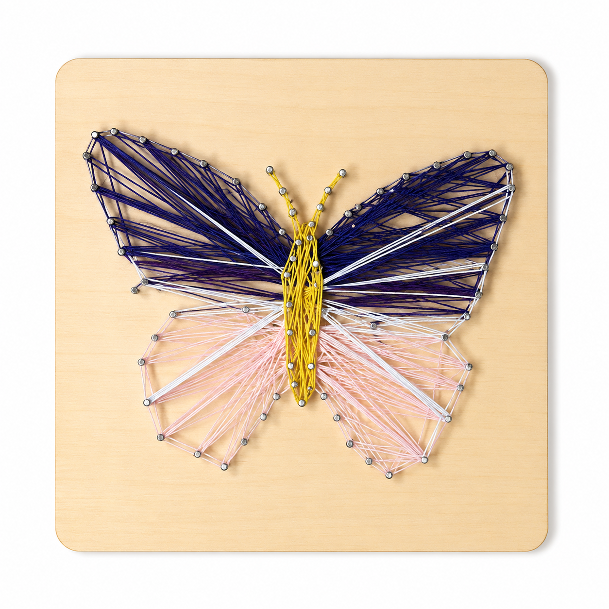 Papillon sur bois